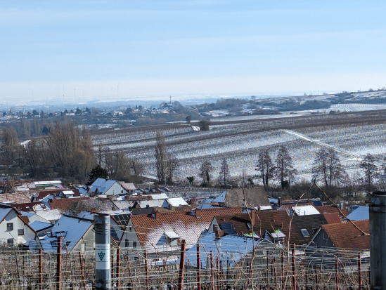 Rund um die Madenburg,
21. Januar 2024